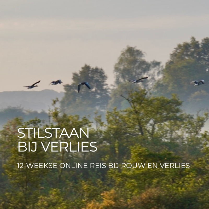 Stilstaan bij verlies online programma