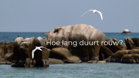 Hoe lang duurt rouw? Stilstaan bij Verlies