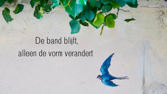 Ze zijn er niet meer Rouw - Stilstaan bij Verlies