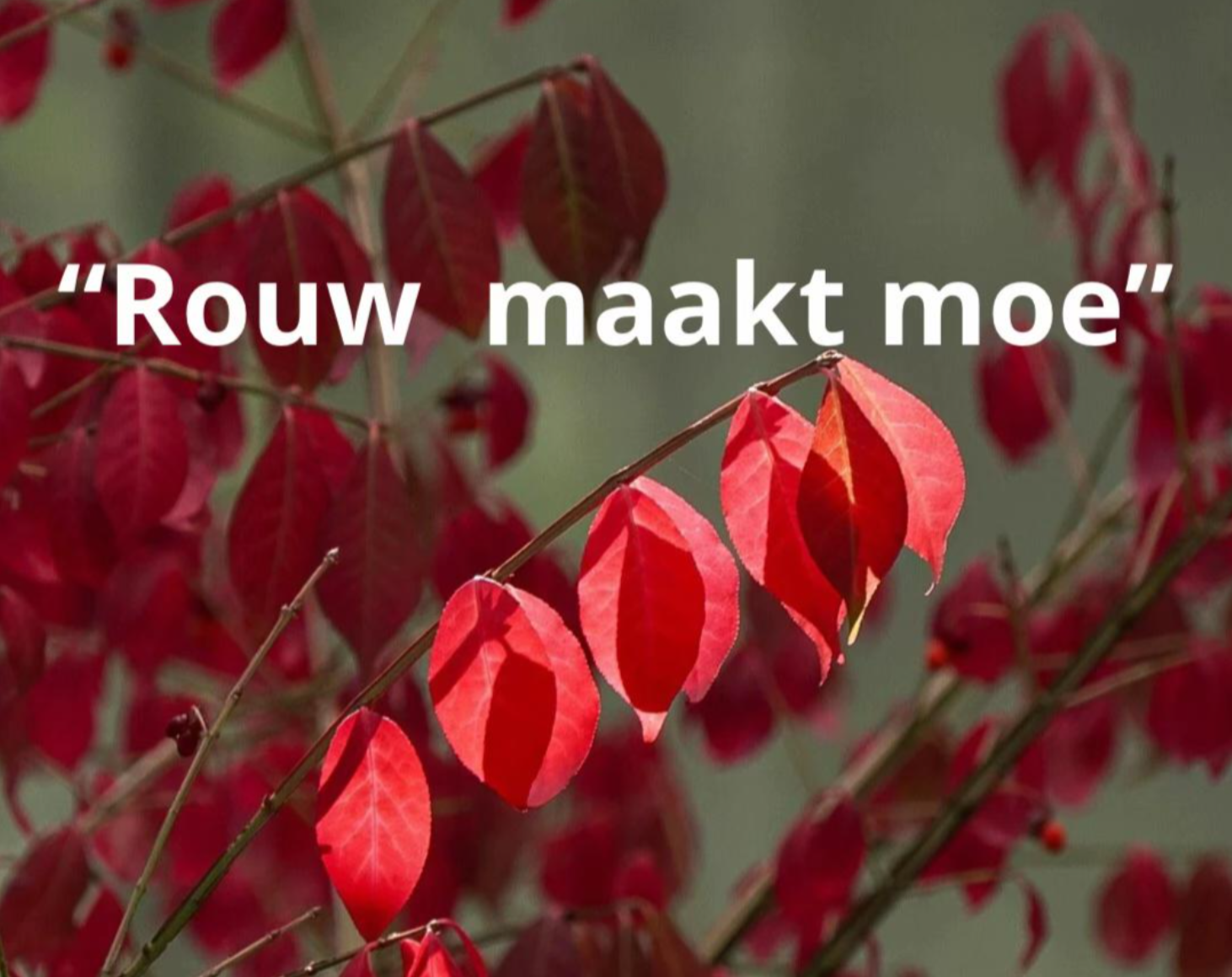 Rouw maakt moe - Stilstaan bij Verlies