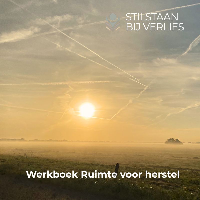 Werkboek Ruimte voor herstel - Stilstaan bij Verlies